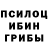 Псилоцибиновые грибы ЛСД Rotu Vog