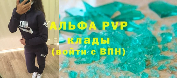 прущие грибы Вяземский