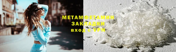 прущие грибы Вяземский