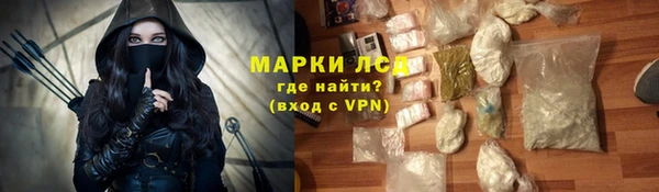 прущие грибы Вяземский