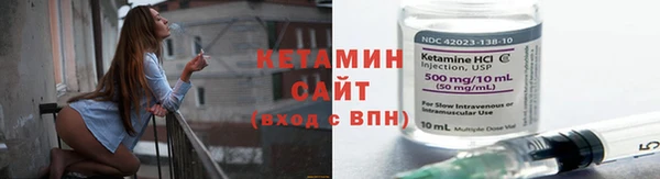прущие грибы Вяземский