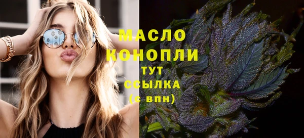 прущие грибы Вяземский