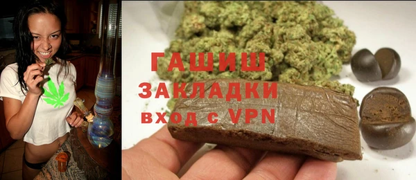 прущие грибы Вяземский