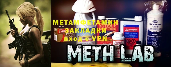 прущие грибы Вяземский