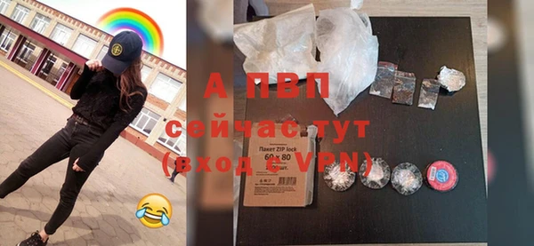 прущие грибы Вяземский